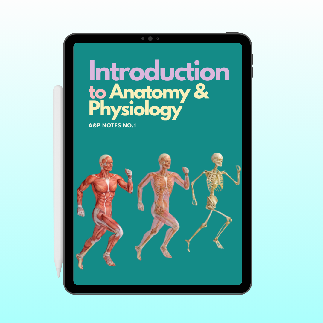 Anatomy and Physiology