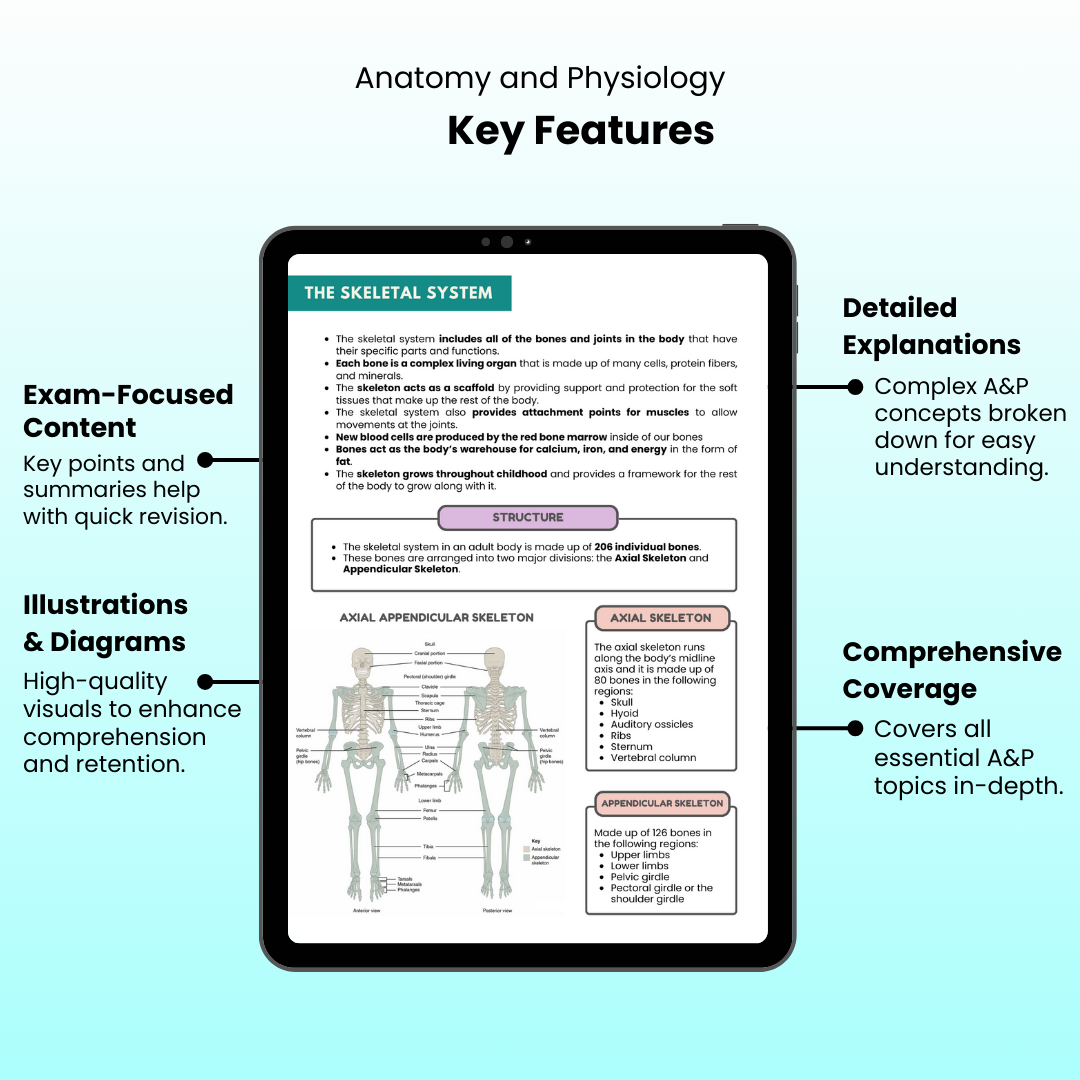 Anatomy and Physiology