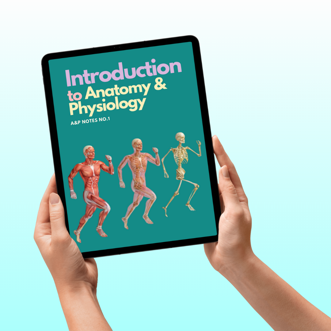 Anatomy and Physiology