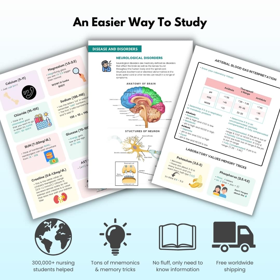 Ultimate Nursing School Bundle - 2 for 1