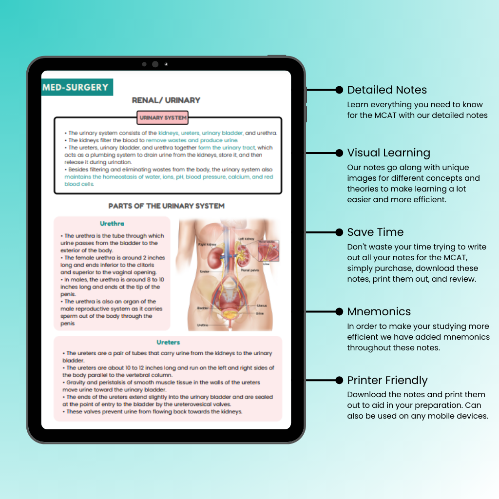Urinary - Nurse Med-Surgery