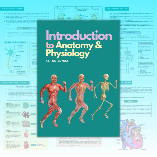 Anatomy and Physiology