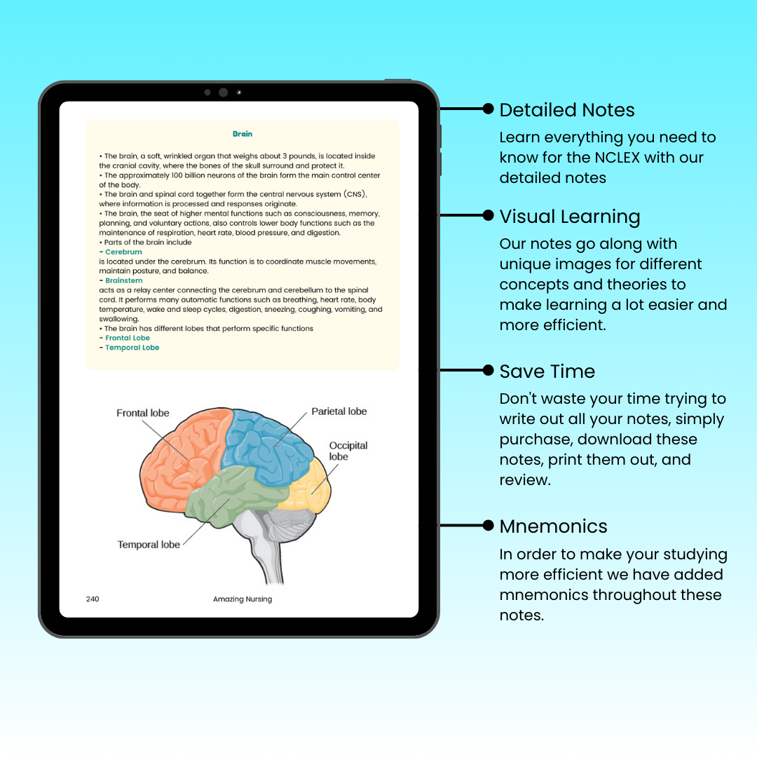 Neurology - Med-Surgery